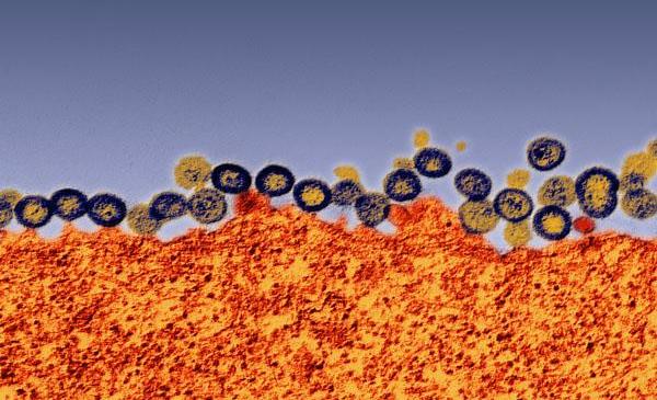 verweist auf: HIV-Selbsttests