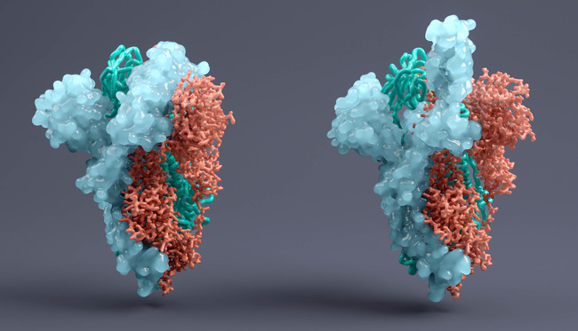 Spike-Protein SARS-CoV-2 (Source: Viaframe/Corbis/GettyImages)