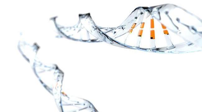 DNA-Strang (Quelle: koto_feja/Getty Images) DNA-Strang (Quelle: koto_feja/Getty Images)