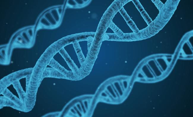DNA Strang (Quelle: Pixabay)