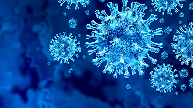 Coronavirus 3D-Modell (Quelle: Lightspring/Shutterstock.com) Coronavirus 3D-Modell (Quelle: Lightspring/Shutterstock.com)