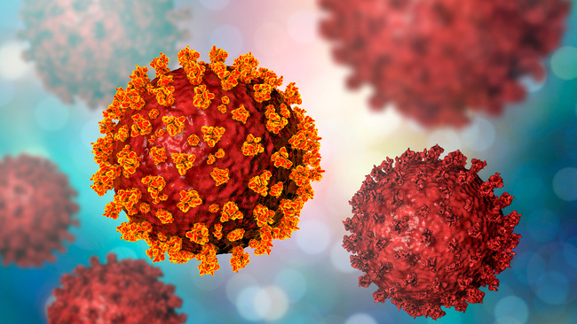 3D-Modell SARS-CoV-2-Virus (Quelle: Kateryna Kon/Shutterstock) 3D-Modell SARS-CoV-2-Virus (Quelle: Kateryna Kon/Shutterstock)