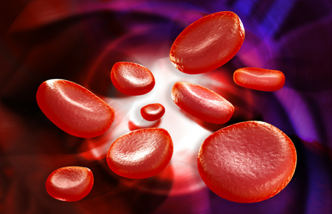 Rote Blutkörperchen / Erythrozyten (Quelle: Liya Graphics/Shutterstock)
