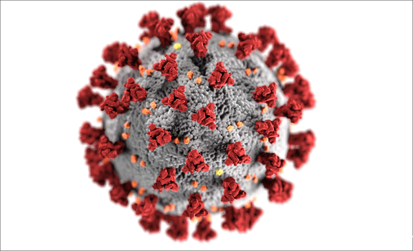 Coronavirus-Illustration (SARS-CoV-2) (Quelle: CDC/Alissa Eckert, MS; Dan Higgins, MAMS) (verweist auf: Coronavirus und COVID-19)