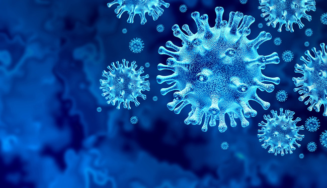 Coronavirus 3D-Modell (Quelle: lightspring/shutterstock.com)