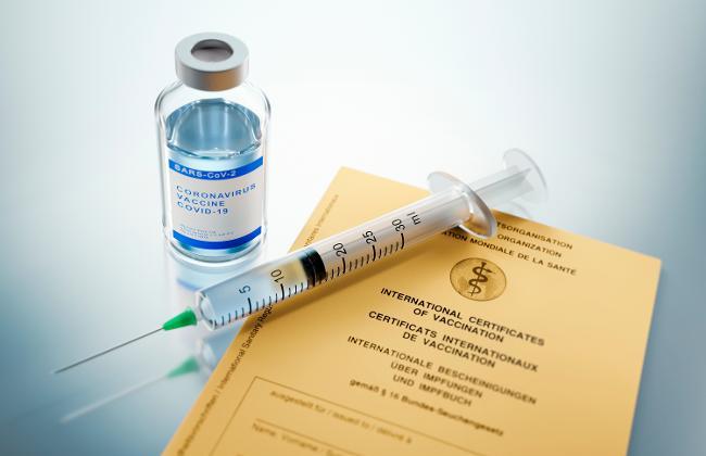 COVID-19-Impfstoff mit Impfausweis (Quelle: PeterSchreiberMedia/Shutterstock.com)