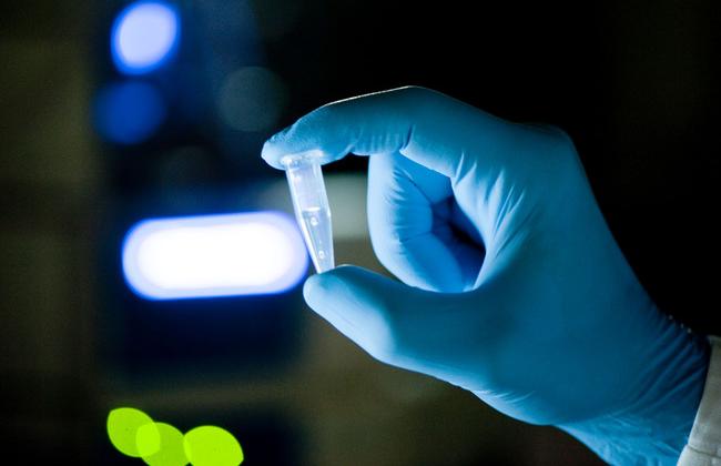 Eppendorf-Gefäß (Quelle: A.Buck/Paul-Ehrlich-Institut) Eppendorf-Gefäß (Quelle: A.Buck/Paul-Ehrlich-Institut)