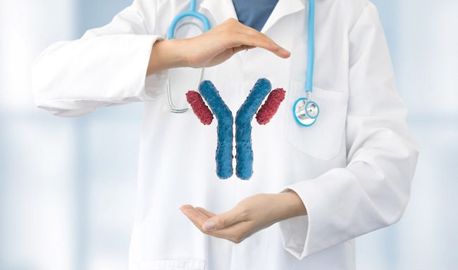 Symbolbild Arzt formt zwischen seinen Händen ein Antikörper-Modell (Quelle:paulita/Shutterstock.com)