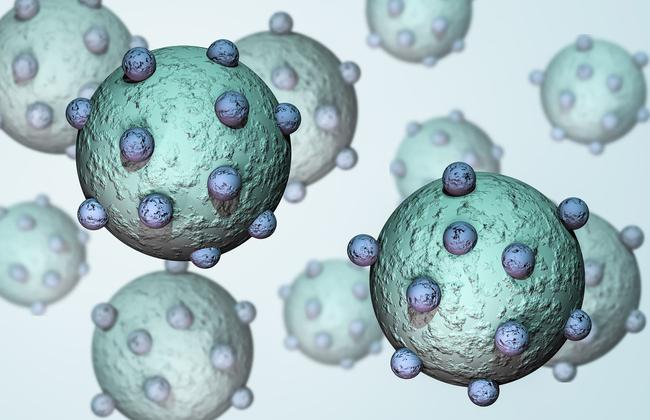 3D-Illustration H7N9-Virus (Quelle: Nixx Photography/Shutterstock.com) 3D-Illustration H7N9-Virus (Quelle: Nixx Photography/Shutterstock.com)