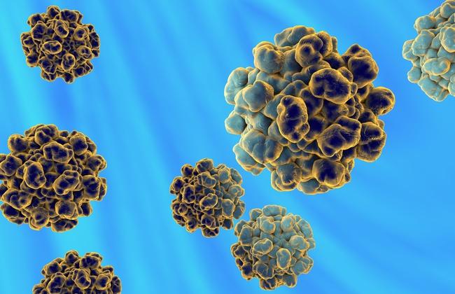Modell Hepatitis-E-Virus (Quelle: Kateryna Kon/Shutterstock.com)