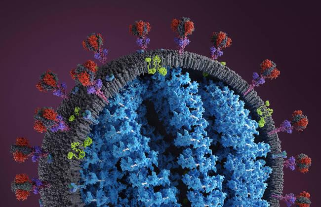 Spike-Protein auf Oberfläche SARS-CoV-2  (Quelle: S.Myshkovsky/photodisc/Gettyimages) Spike-Protein auf Oberfläche SARS-CoV-2  (Quelle: S.Myshkovsky/photodisc/Gettyimages)