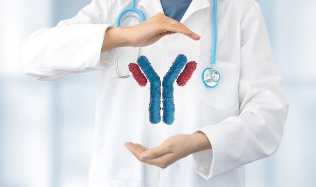 Arzt mit Monoklonalem Antikörper-Modell (Quelle: Paulita/Shutterstock.com)