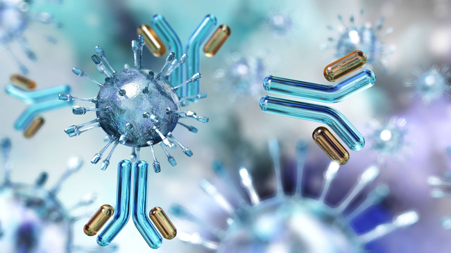 Viren und Antikörper (Quelle: ustas777777/Shutterstock.com)