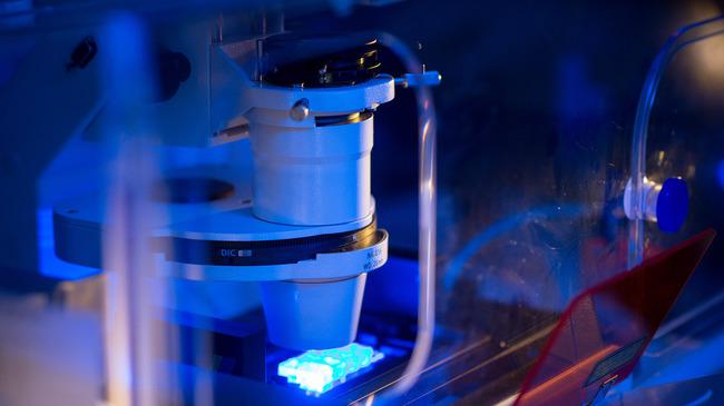 verweist auf: EU-Konsortium imSAVAR: Innovative Ansätze für sichere Immuntherapien – Das Paul-Ehrlich-Institut stellt zwei Studien vor Mikroskop im Labor der Immunologie