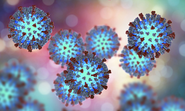 Masern-Virus (Quelle: Kateryna Kon/Shutterstock.com)