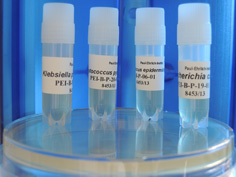 WHO-Referenzmaterialien für Thrombozytenkonzentrate (Quelle: PEI)