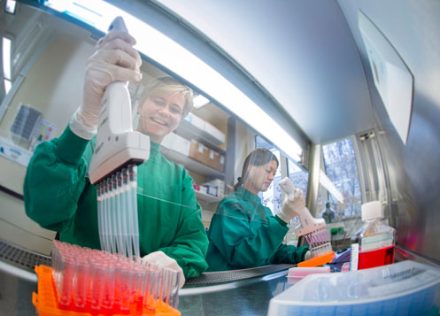 Mitarbeiterinnen des PEI führen eine Wirksamkeitsprüfung von Impfstoffchargen durch. Mitarbeiterinnen des PEI führen eine Wirksamkeitsprüfung von Impfstoffchargen durch.