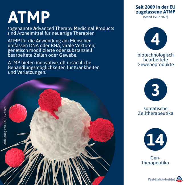 Infografik: Arzneimittel für neuartige Therapien (ATMP)
