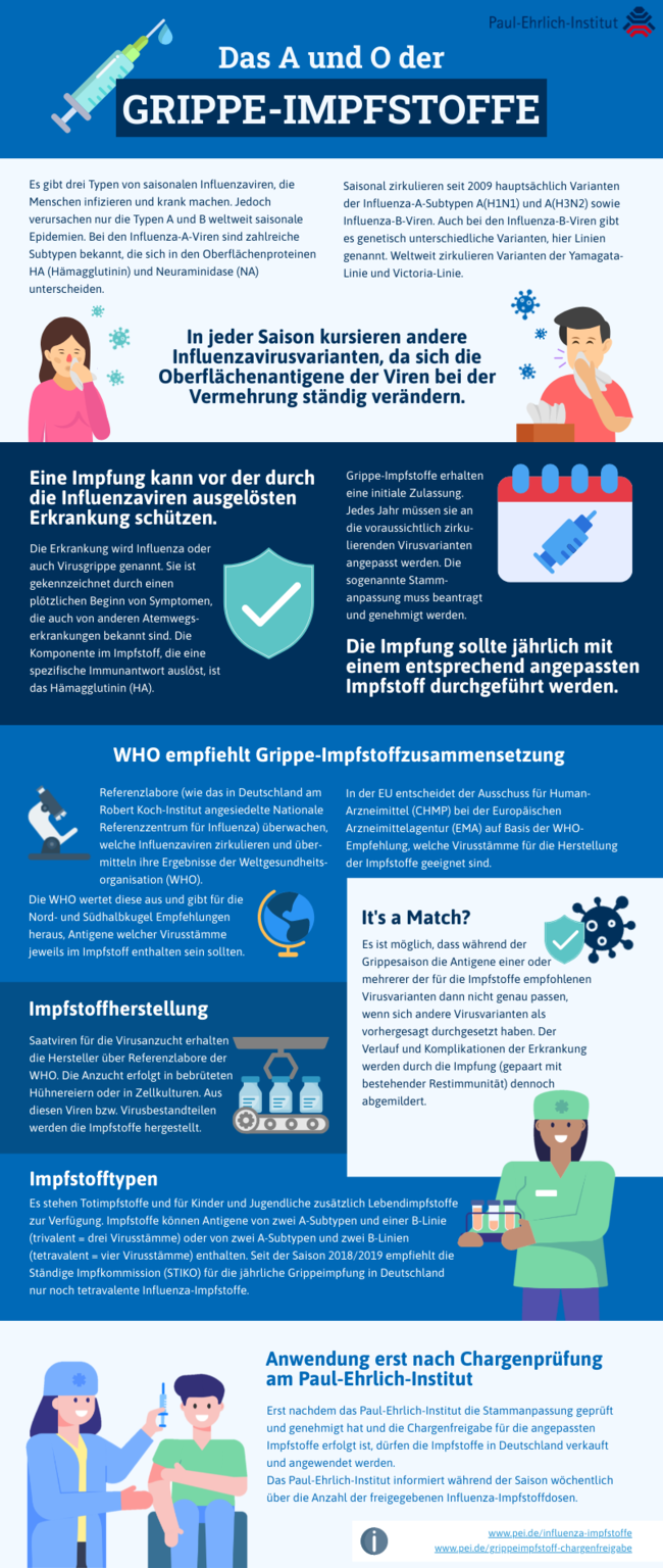 Das A und O der Grippe-Impfstoffe Das A und O der Grippe-Impfstoffe