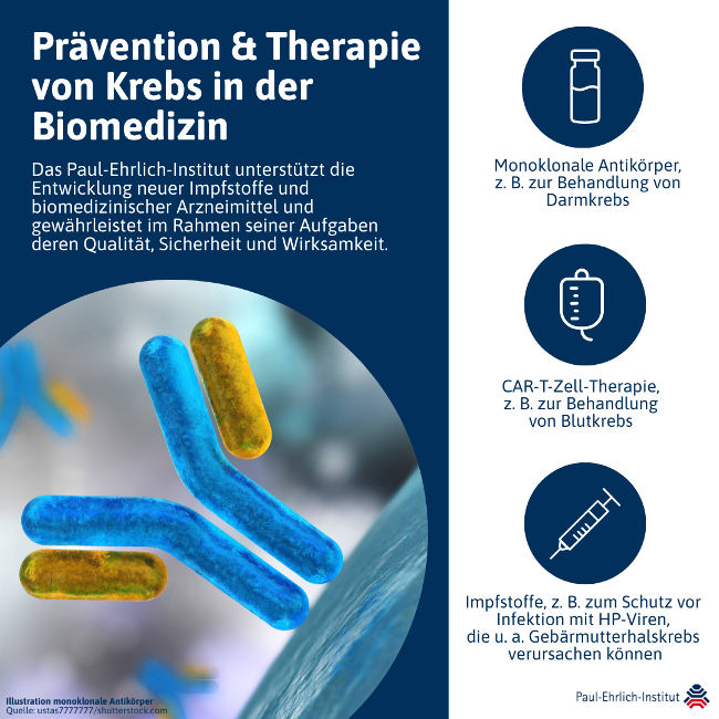 Infografik: Präventation & Therapie von Krebs in der Biomedizin