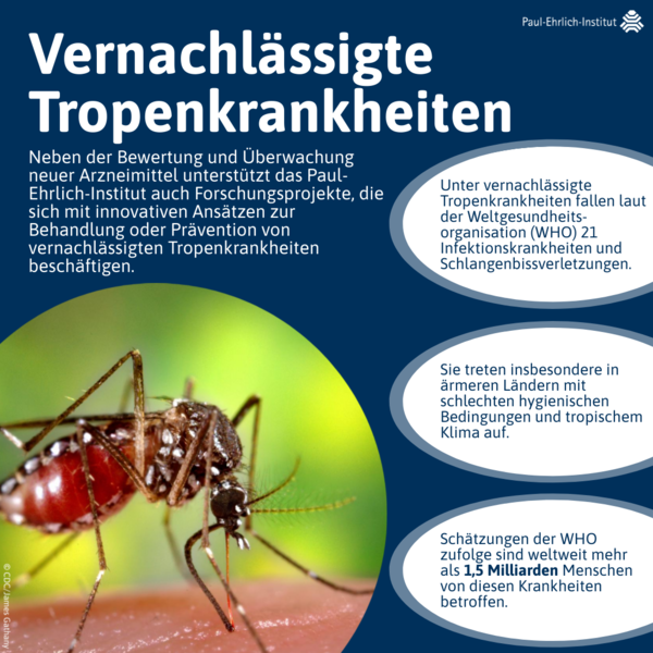 verweist auf: Vernachlässigte Tropenkrankheiten Vernachlässigte Tropenkrankheiten (verweist auf: Vernachlässigte Tropenkrankheiten)