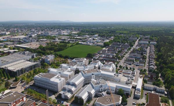 verweist auf: Ausstellung der Ergebnisse des Architekturwettbewerbs für den Neubau des Paul-Ehrlich-Instituts Luftaufnahme geplanter Standort des Neubaus des Paul-Ehrlich-Instituts (Quelle: Paul-Ehrlich-Institut) (verweist auf: Ausstellung der Ergebnisse des Architekturwettbewerbs für den Neubau des Paul-Ehrlich-Instituts)
