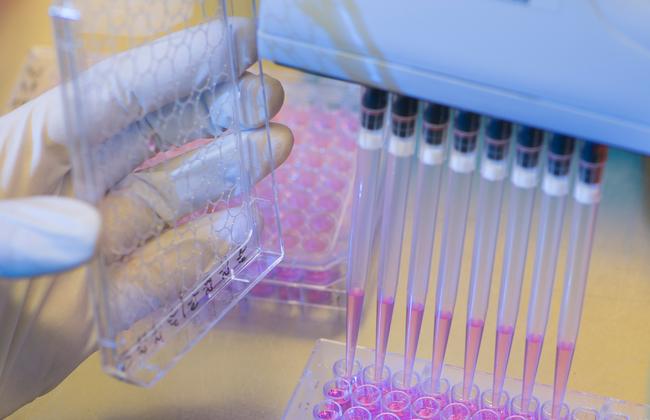 Multipipette (Quelle: A. Buck / PEI) Multipipette (Quelle: A. Buck / PEI)