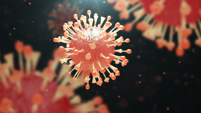 Influenza Virus Illustration Influenza Virus Illustration