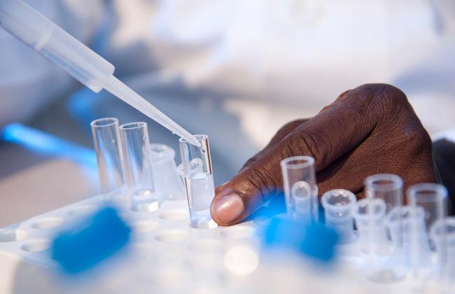 Laboratory scene with filling of test tubes Laboratory scene with filling of test tubes