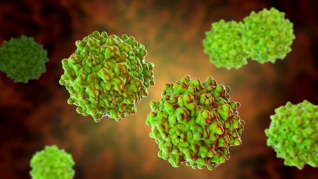 AAV Virus (Source: Kateryna Kon/Shutterstock.com)