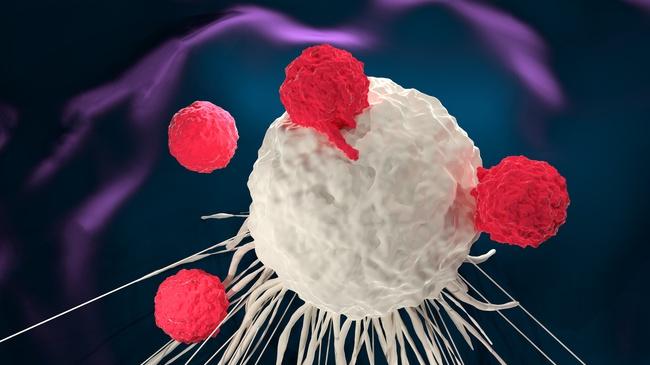 refer to: CAR T-Cell Therapy and Secondary Tumour Development – Coincidence or Connection? CAR-T Cells