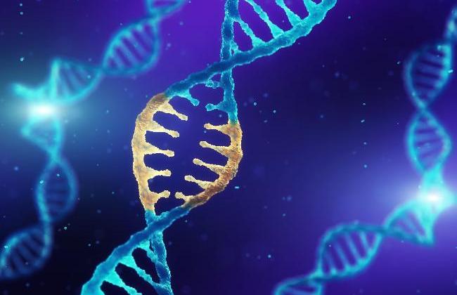 Double helix DNA molecule with modified genes (Source: nobeastsofierce/shutterstock) Double helix DNA molecule with modified genes (Source: nobeastsofierce/shutterstock)