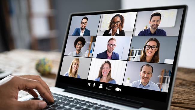Online Meeting (Source: Andrey Popov/Shutterstock.com) (refer to: Paul-Ehrlich-Institut in Dialogue with the German Medicines Manufacturers Association (BAH): Clinical Development of Biomedicines at High Level)