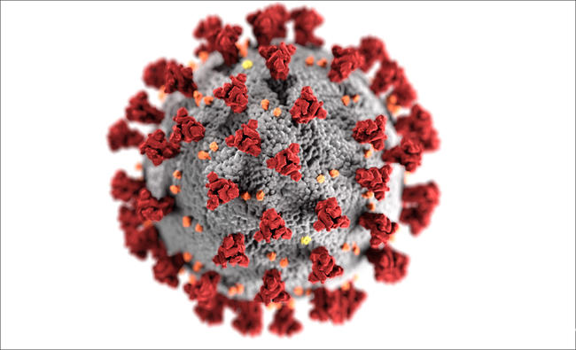 Coronavirus Illustration (SARS-CoV-2) (Source: CDC/Alissa Eckert, MS; Dan Higgins, MAMS)