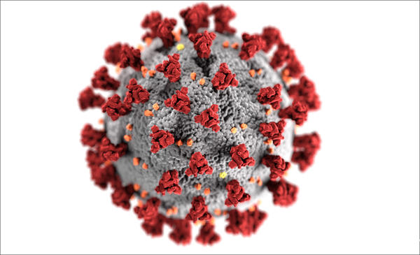 Coronavirus Illustration (SARS-CoV-2) (Source: CDC/Alissa Eckert, MS; Dan Higgins, MAMS) (refer to: FAQ Coronavirus)