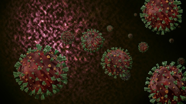 Coronavirus SARS-CoV-2 (Source: Shaun_F/Pixabay.com)
