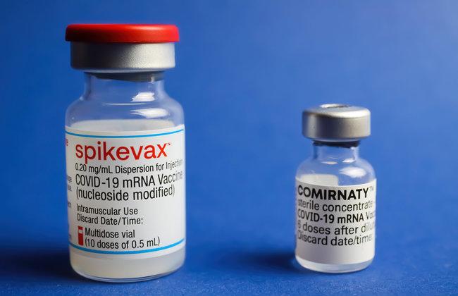 COVID-19 Vaccine Ampoules Spikevax and Comirnaty (Source: Ralf Liebhold/Shutterstock.com) COVID-19 Vaccine Ampoules Spikevax and Comirnaty (Source: Ralf Liebhold/Shutterstock.com)