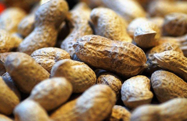 Peanuts (Source: Iva Balk/Pixabay.com) Peanuts (Source: Iva Balk/Pixabay.com)