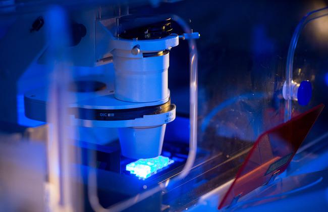 Laboratory Photo Immunology Laboratory Photo Immunology