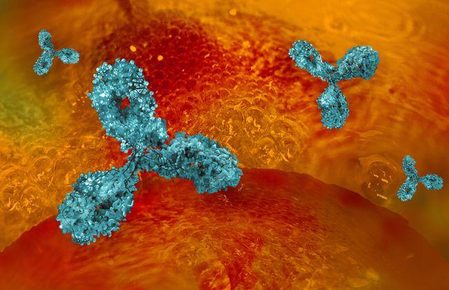 Monoclonal Antibodies (Source: GettyImages)