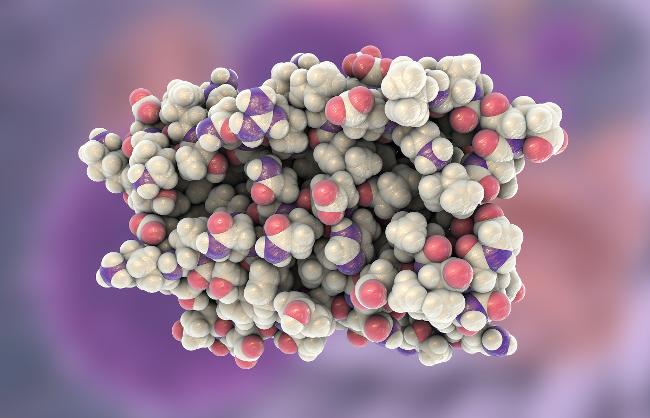Model Interferon Type 1 (Source: Kateryna Kon/Shutterstock.com) Model Interferon Type 1 (Source: Kateryna Kon/Shutterstock.com)