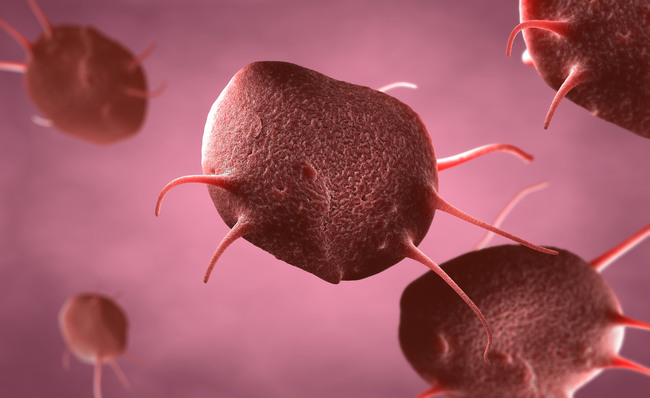 3D Illustration Thrombocytes (Source: Christoph Burgstedt/shutterstock.com)
