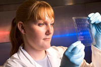 Official batch testing at the Paul-Ehrlich-Institut (Source: PEI) Official batch testing at the Paul-Ehrlich-Institut (Source: PEI)