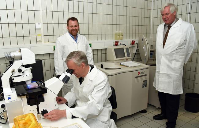 Thomas Müller, head of division Medicinal Products, Medical Devices, and Biotechnology of the BMG observing vaccine-treated cell cultures under a microscope. Thomas Müller, head of division Medicinal Products, Medical Devices, and Biotechnology of the BMG observing vaccine-treated cell cultures under a microscope.