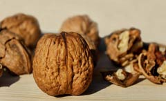 Walnuts (Source: Pixabay) Walnuts (Source: Pixabay)