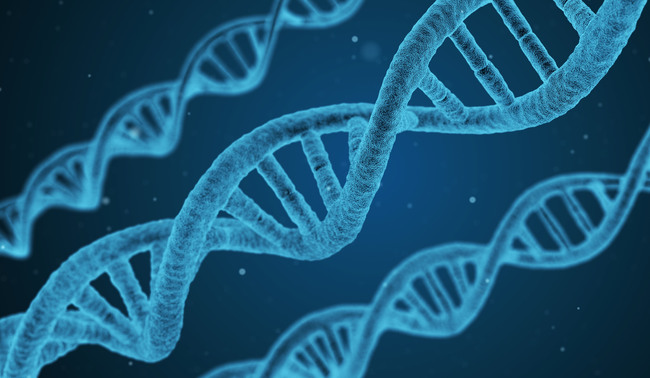 DNA Helix DNA Helix