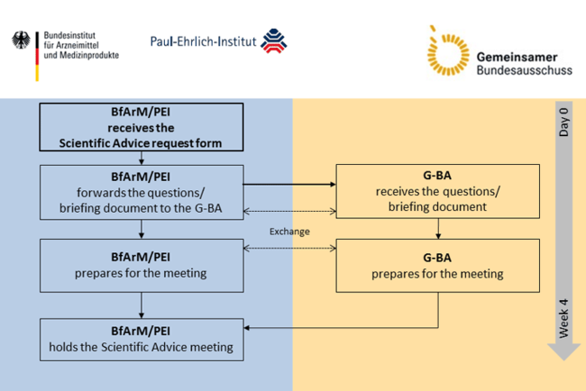Scientific Advice by PEI with involvement of experts from the G-BA (Joint Scientific Advice)