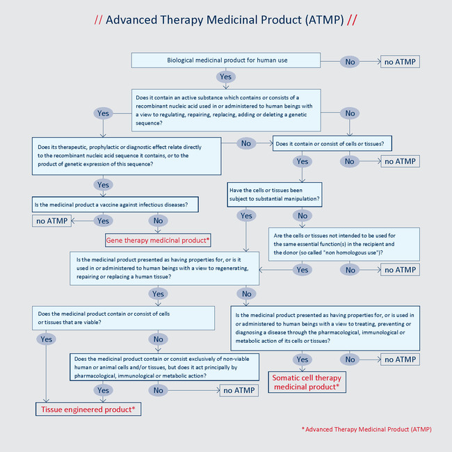 Decision tree for the classification of a drug as ATMP