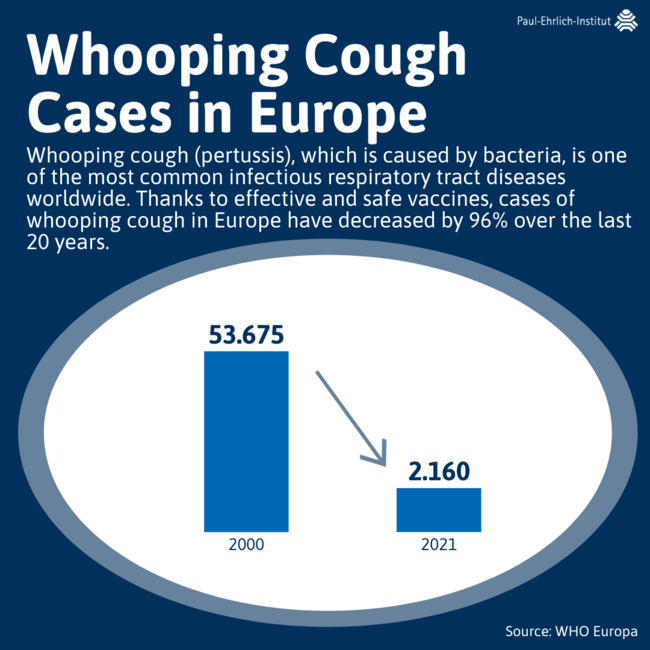 Infographic Whooping Cough Cases in Europe Infographic Whooping Cough Cases in Europe