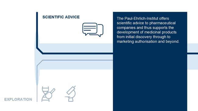 Tasks of the Paul-Ehrlich-Institut on the Vaccine Pathway - Infographics Tasks of the Paul-Ehrlich-Institut on the Vaccine Pathway - Infographics